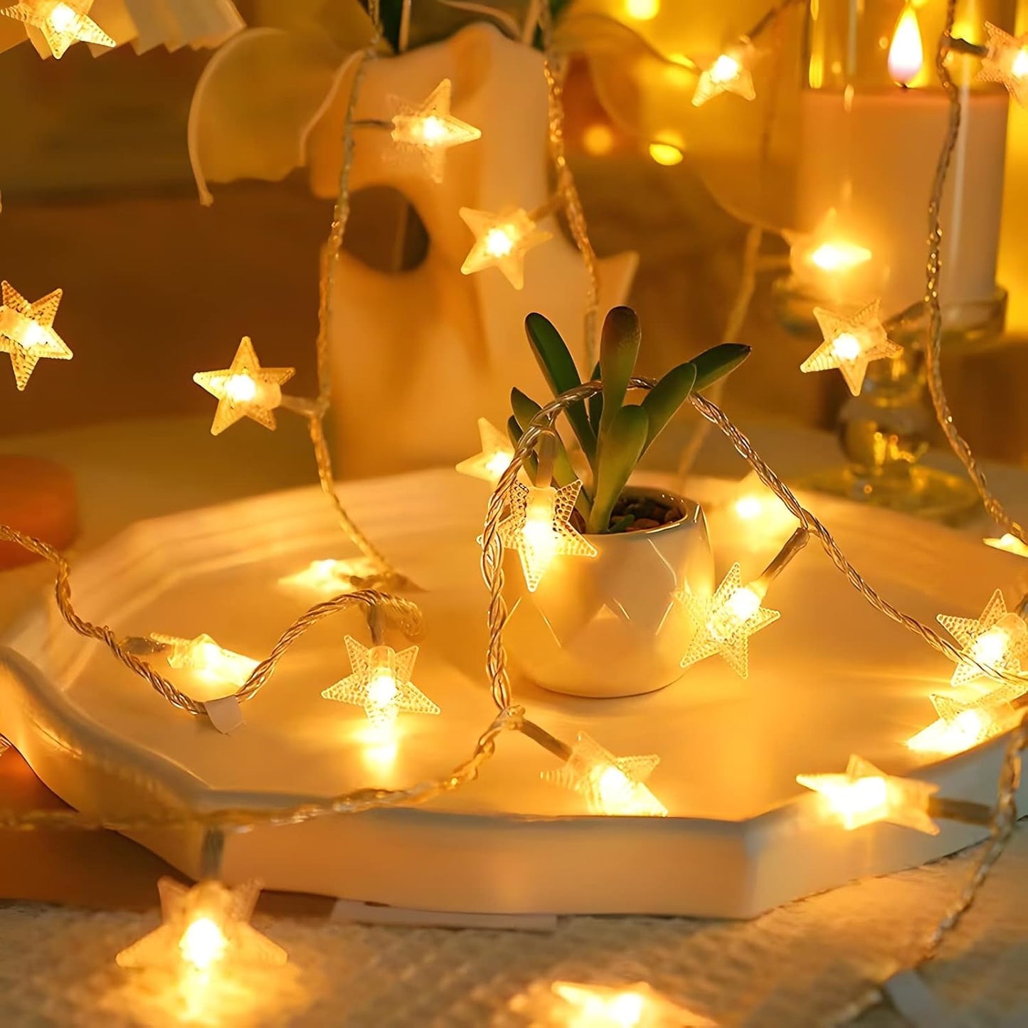 Star-shaped string lights on a decorative plate with a small potted plant.